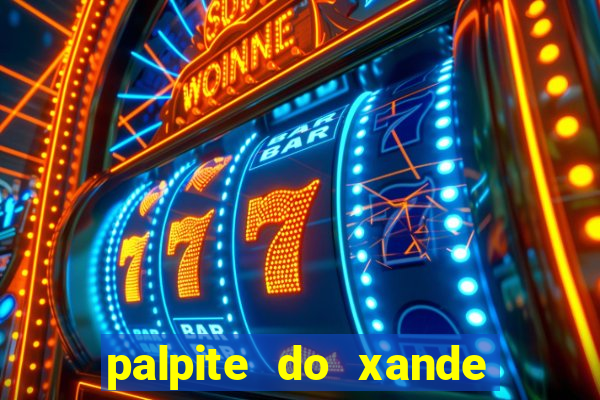 palpite do xande para hoje